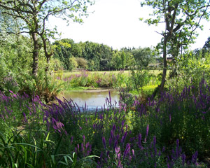 Colks Farm Coltishall